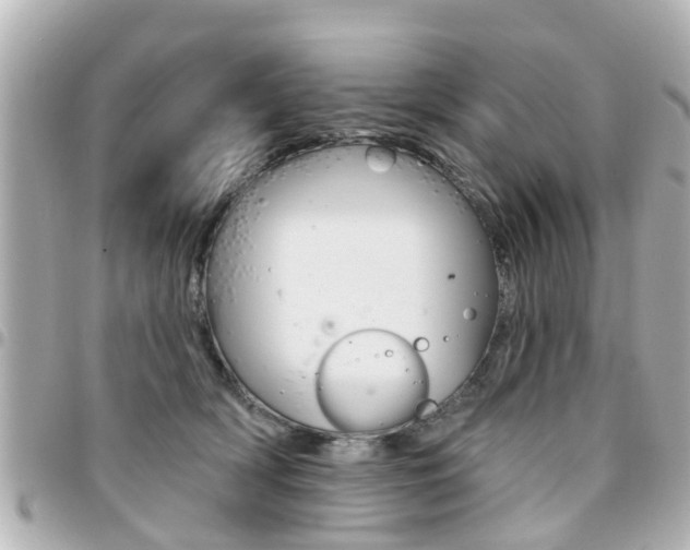 X0000094440418200711081029