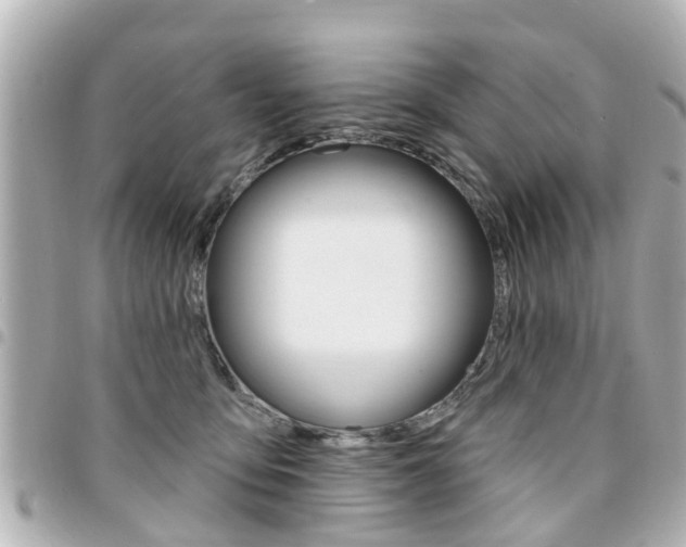 X0000094440419200711081029
