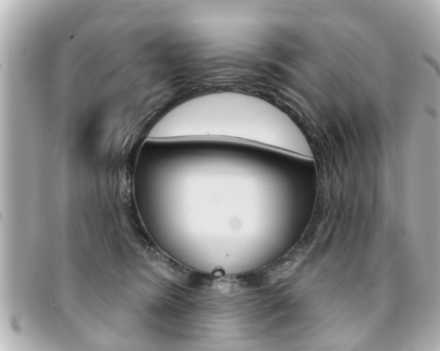 X0000094440420200711081029