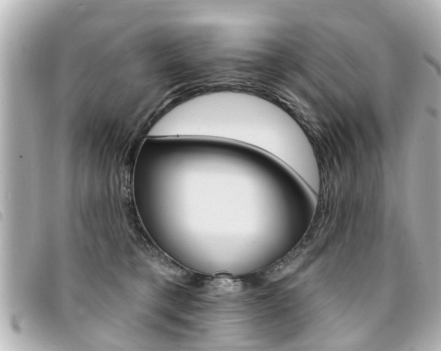 X0000094440421200711081029