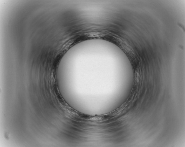X0000094440422200711081029