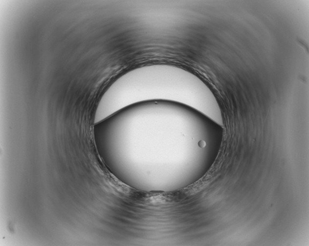 X0000094440423200711081029