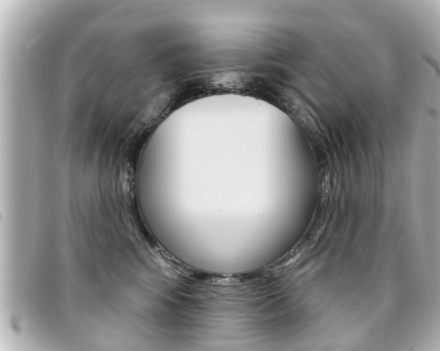 X0000094440424200711081029