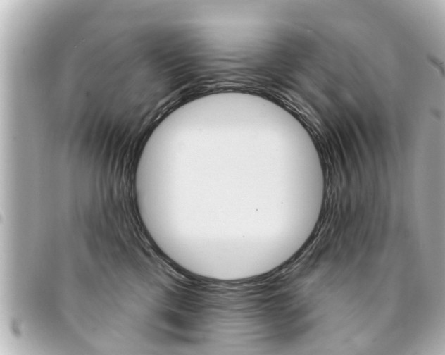 X0000094440425200711081029