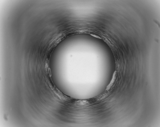 X0000094440427200711081029
