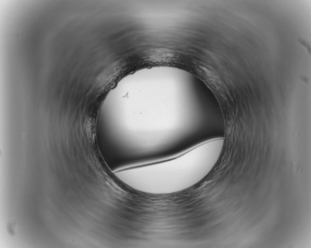 X0000094440428200711081029