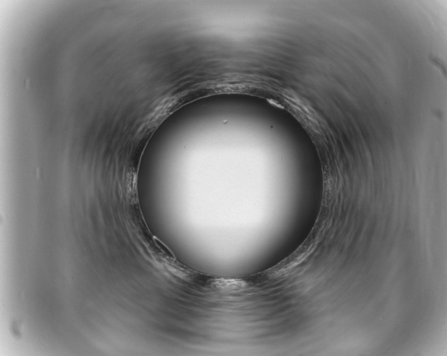 X0000094440429200711081029