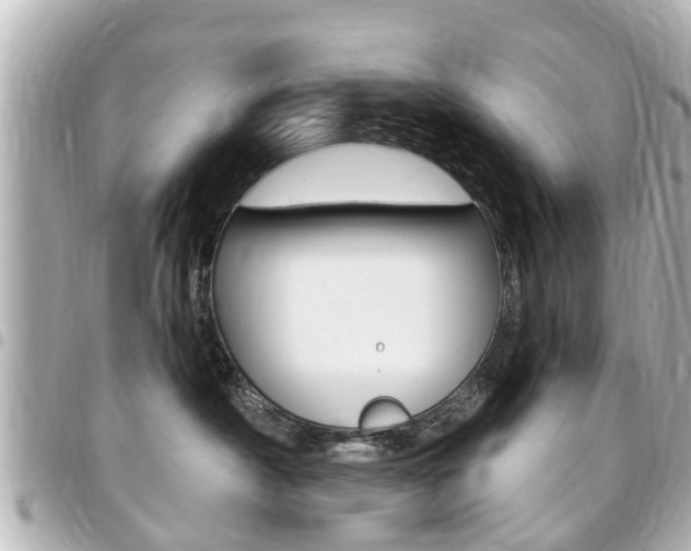 X0000094440430200711081029