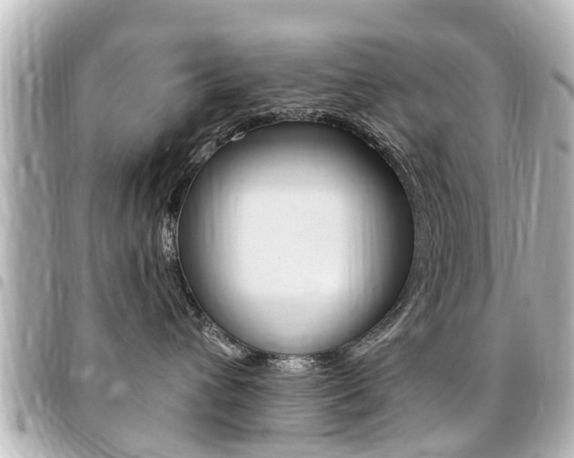 X0000094440432200711081029