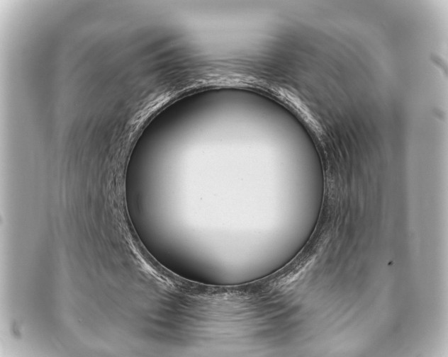 X0000094440433200711081029