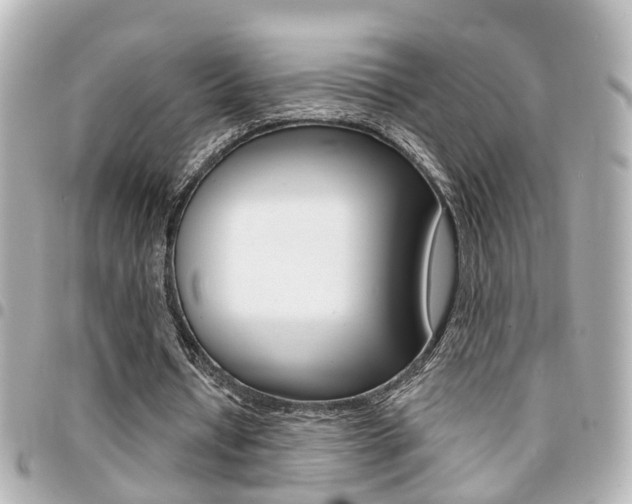 X0000094440434200711081029