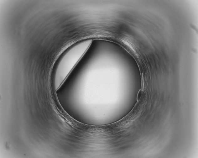 X0000094440435200711081029