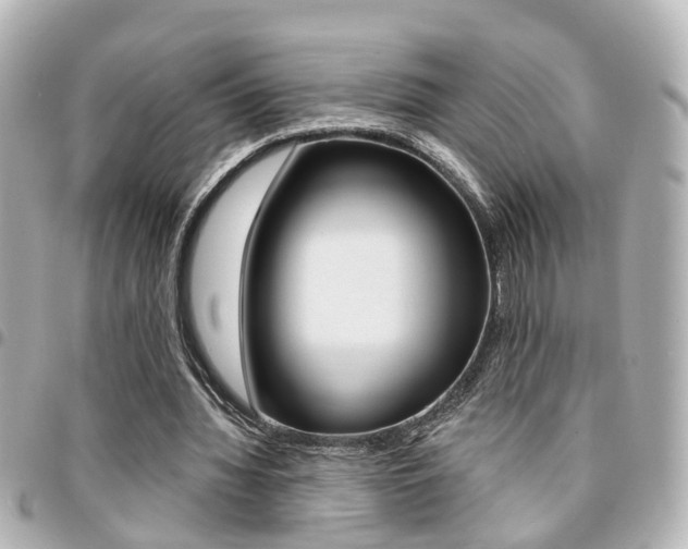 X0000094440436200711081029