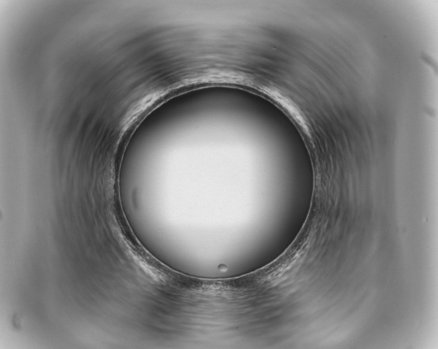 X0000094440437200711081029
