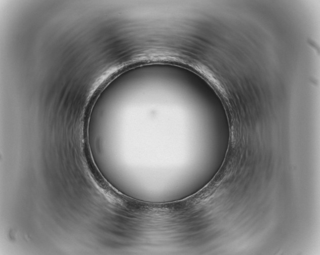 X0000094440438200711081029
