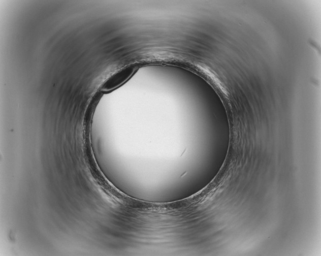 X0000094440439200711081029