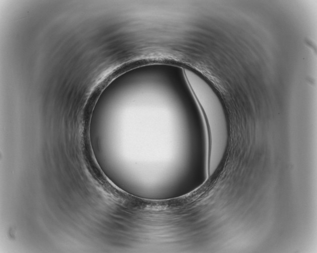 X0000094440440200711081029