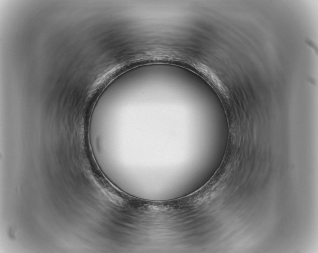 X0000094440442200711081029