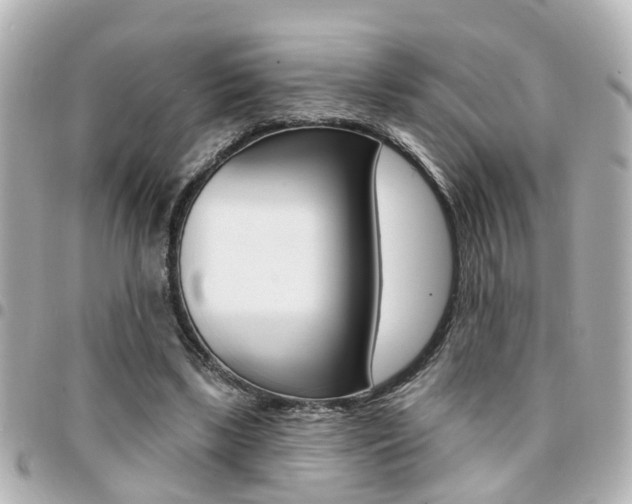 X0000094440443200711081029