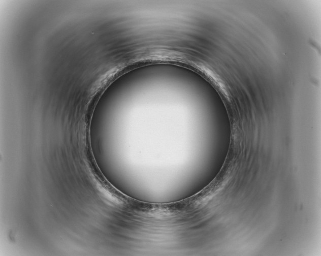 X0000094440445200711081029