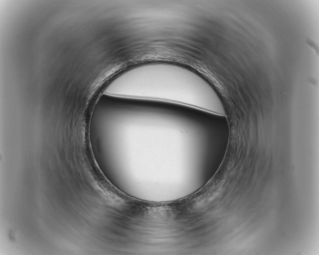 X0000094440446200711081029