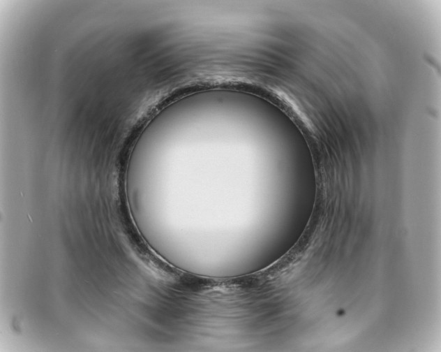 X0000094440447200711081029
