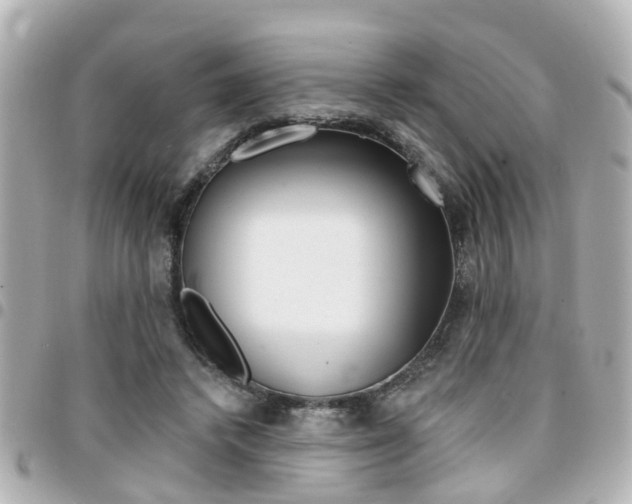 X0000094440448200711081029