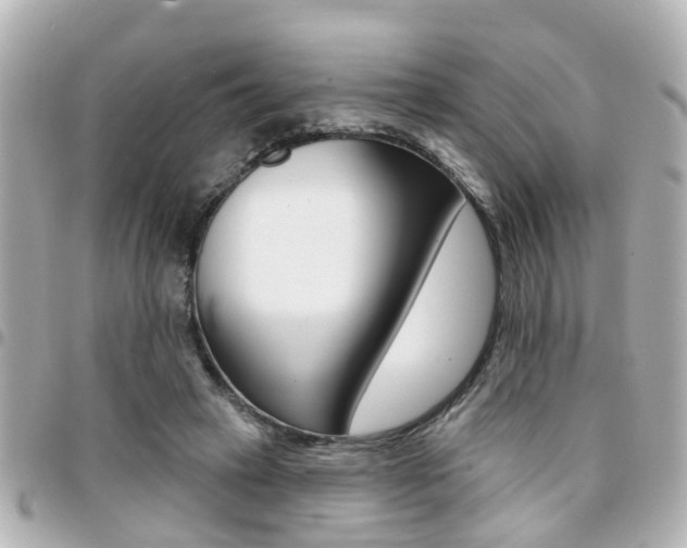 X0000094440449200711081029