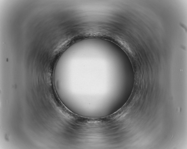 X0000094440450200711081029