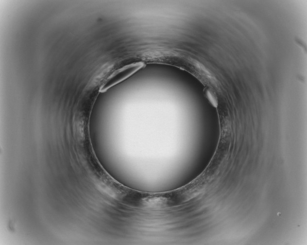 X0000094440452200711081029