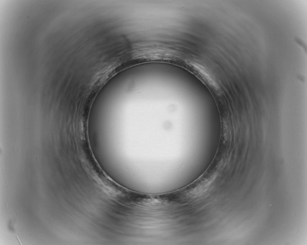 X0000094440453200711081029