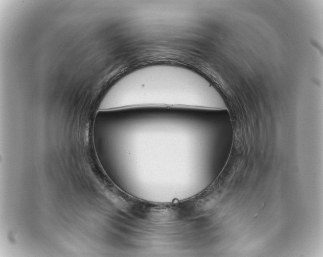 X0000094440454200711081029