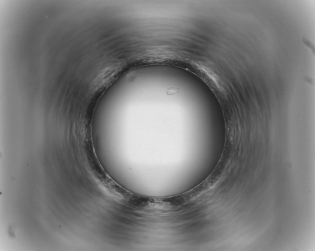 X0000094440455200711081029