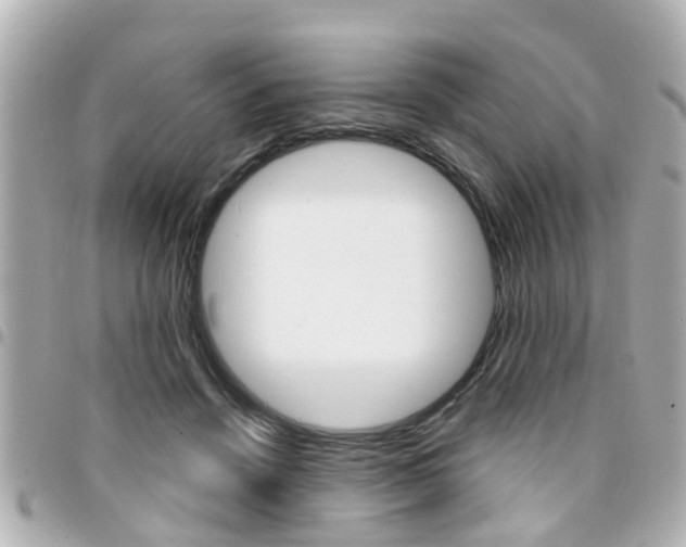 X0000094440456200711081029