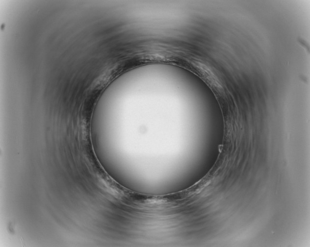 X0000094440457200711081029