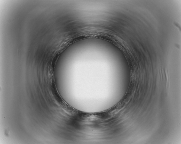 X0000094440460200711081029