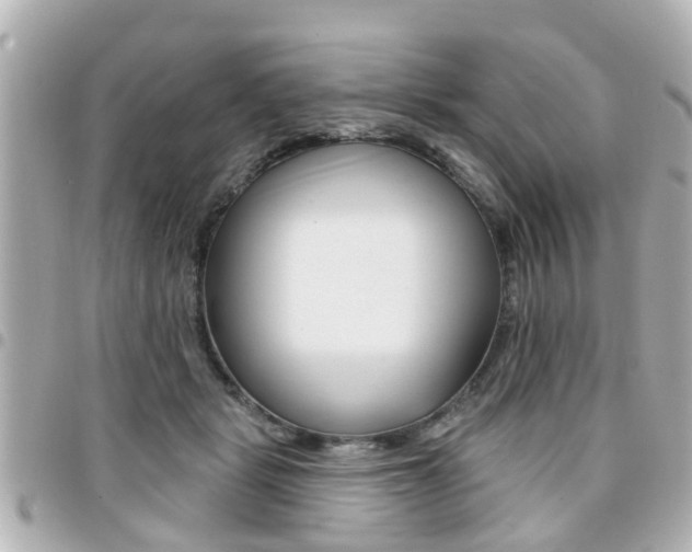 X0000094440461200711081029