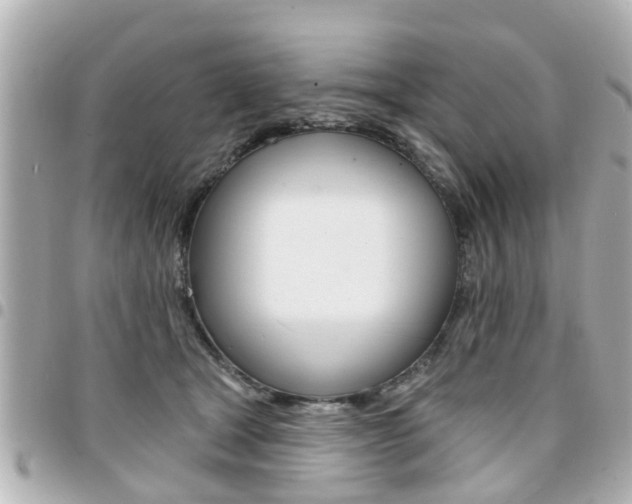 X0000094440465200711081029