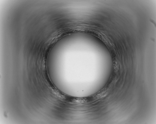 X0000094440466200711081029