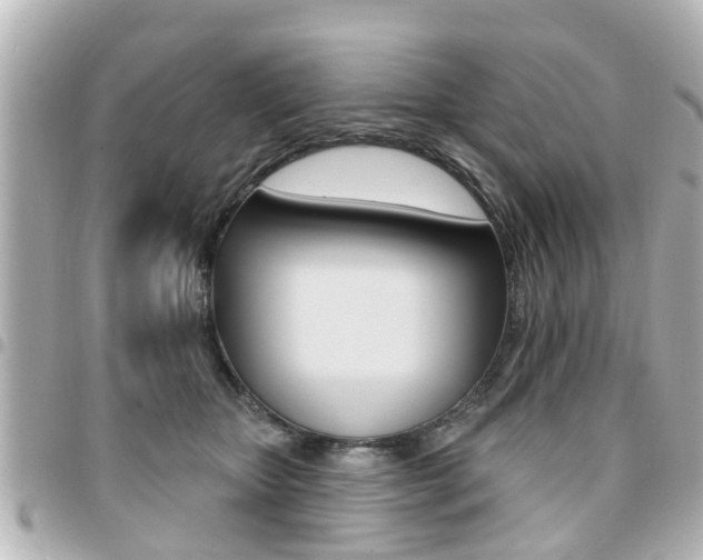X0000094440467200711081029