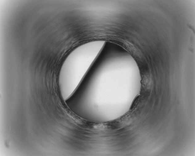X0000094440470200711081029