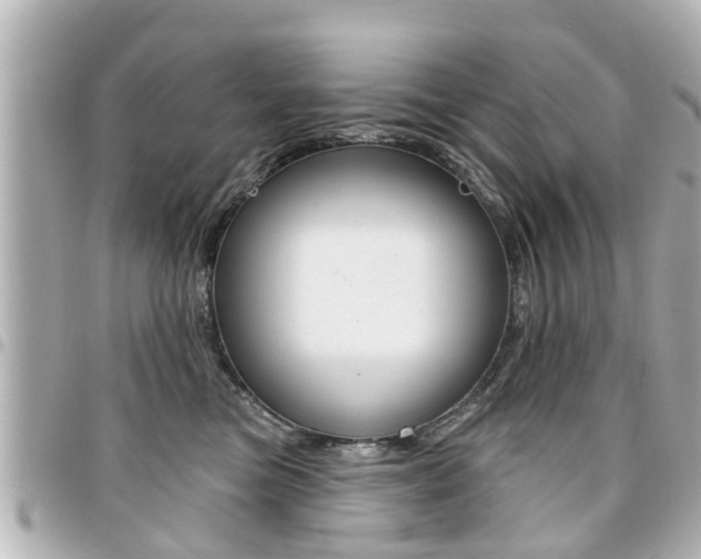 X0000094440473200711081029