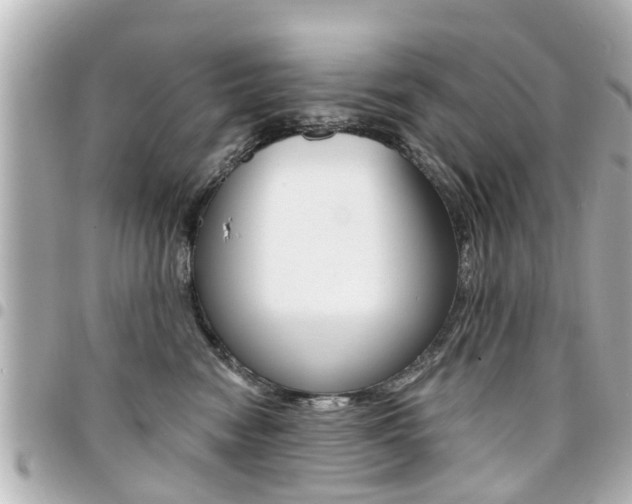 X0000094440474200711081029