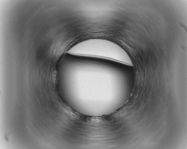 X0000094440475200711081029