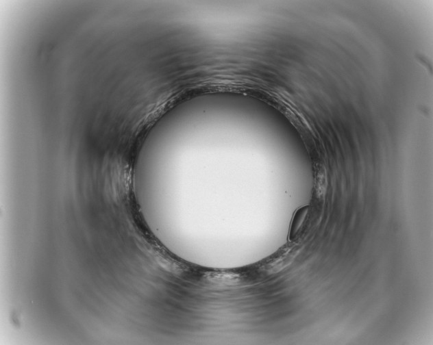 X0000094440476200711081029