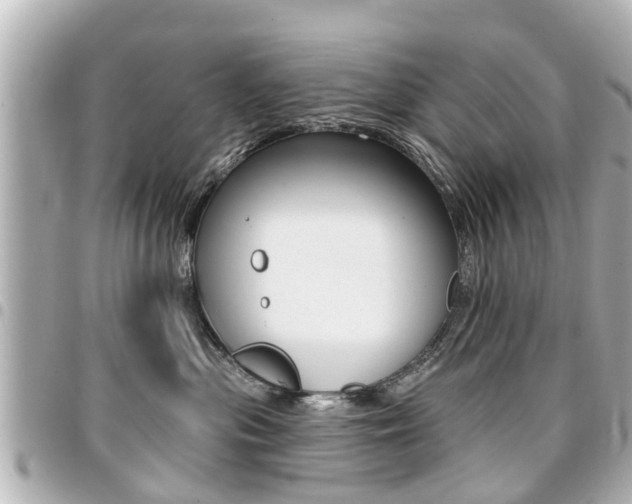 X0000094440477200711081029