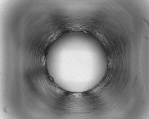 X0000094440478200711081029