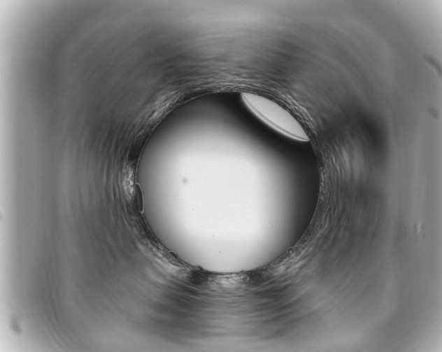 X0000094440479200711081029