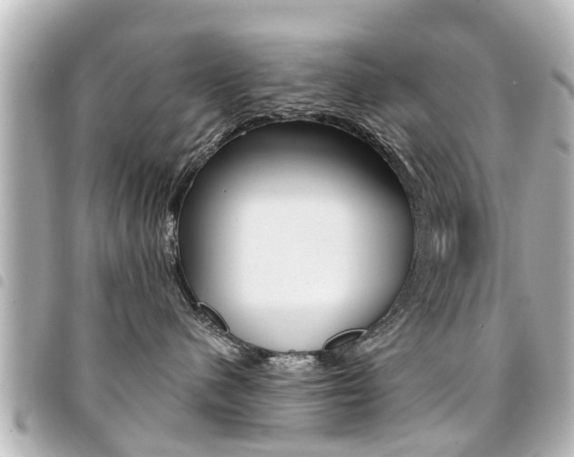 X0000094440480200711081029