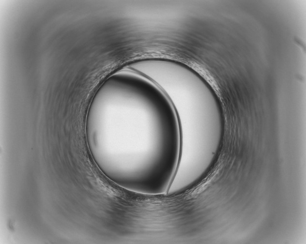 X0000094440481200711081029